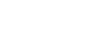 VIVES