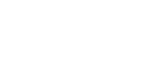 Brains on Silicon
